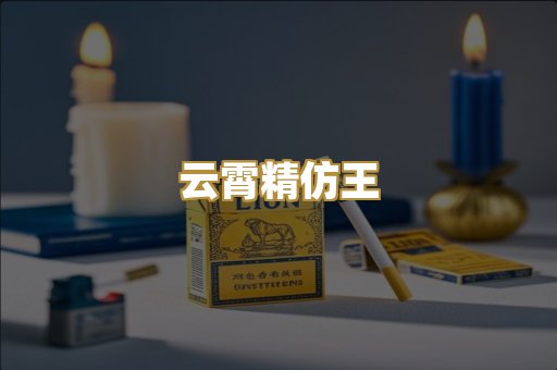 云霄精仿王